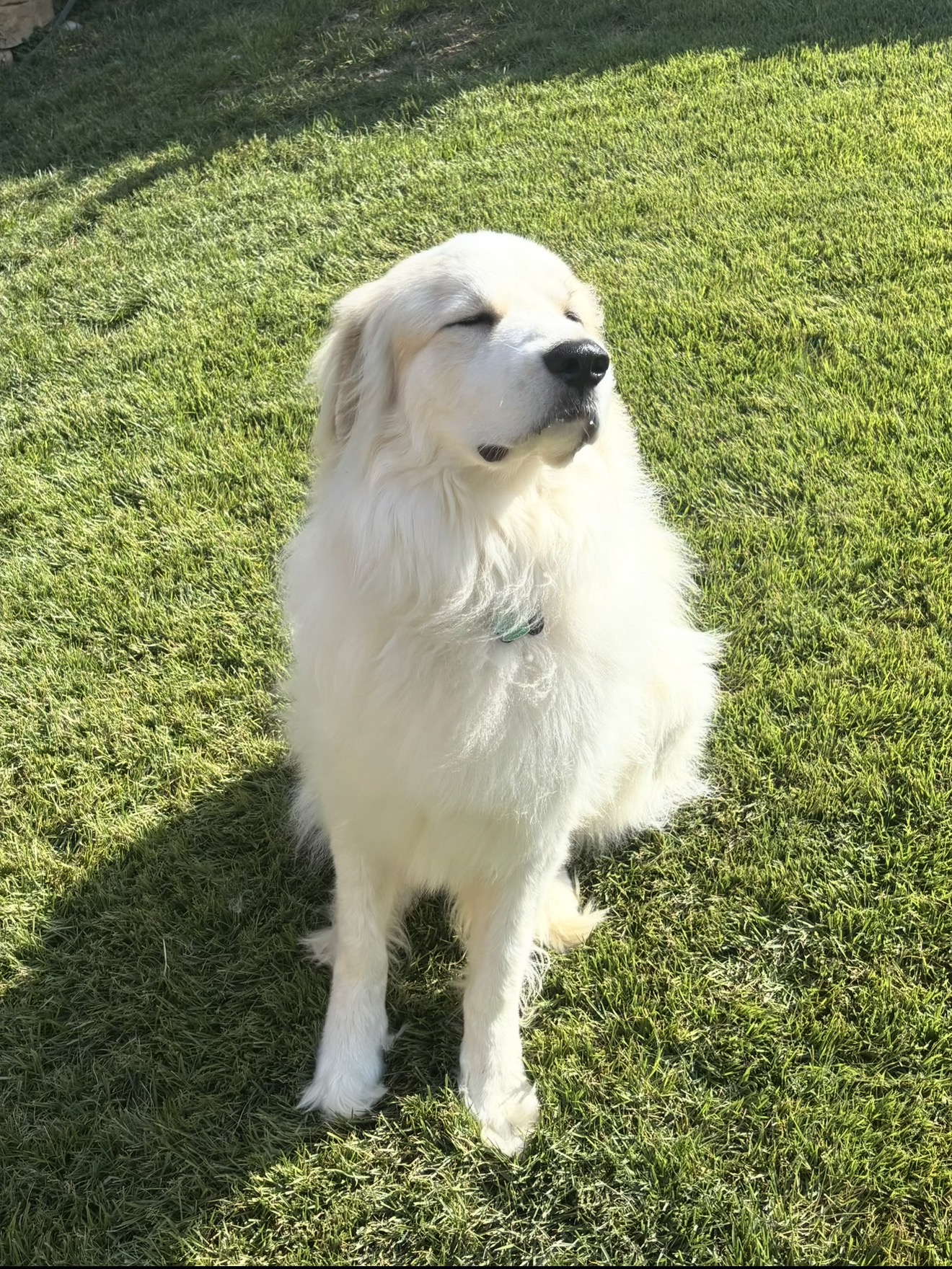 Foto de Kyro