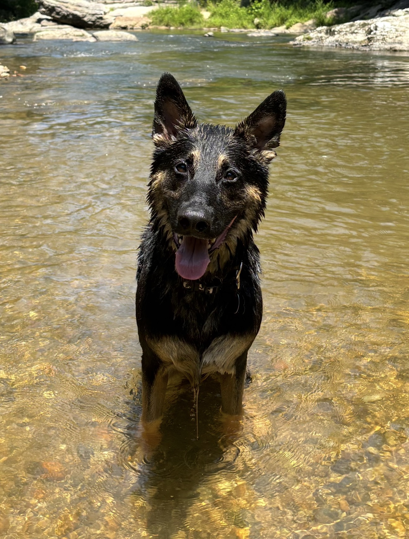 Foto de Cash